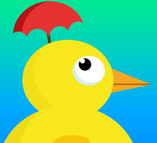 Weather Duck